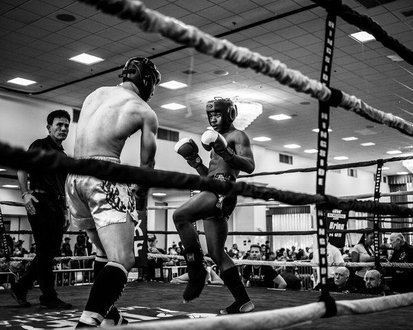 How should amateur boxers structure their meal plans to optimize energy levels?